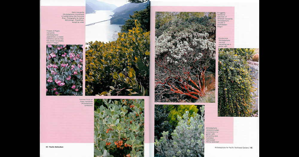 Pacific Horticulture January 2010