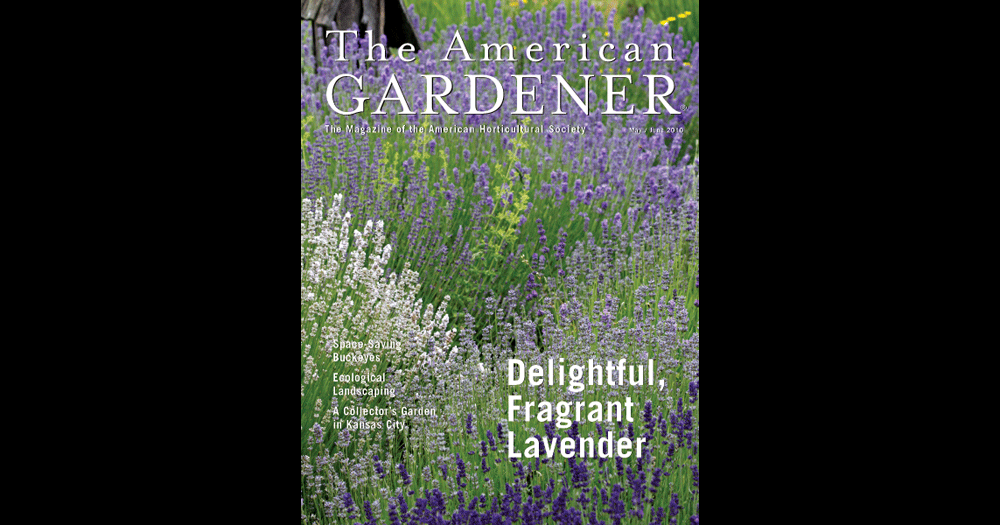 The American Gardener cover May-June 2010